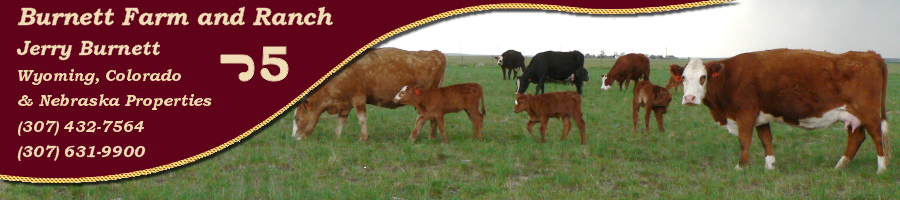 Burnett Farm and Ranch Properties for Sale