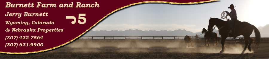 Burnett Farm and Ranch Properties for Sale