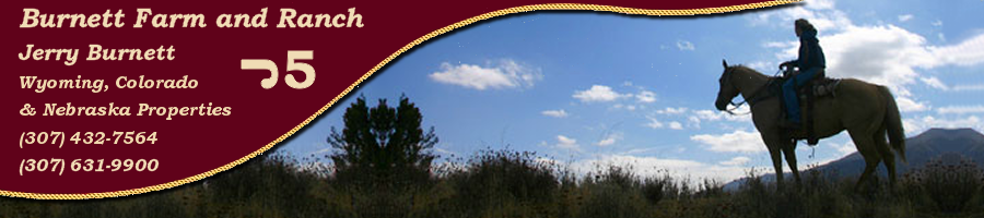 Burnett Farm and Ranch Properties for Sale