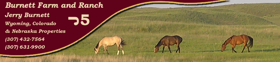 Burnett Farm and Ranch Properties for Sale