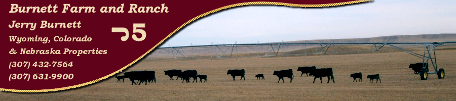 Burnett Farm and Ranch Properties for Sale